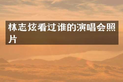 林志炫看过谁的演唱会照片