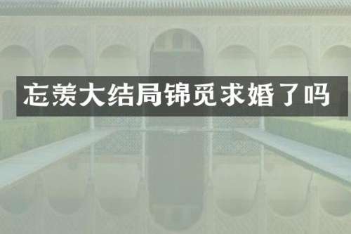 忘羡大结局锦觅求婚了吗