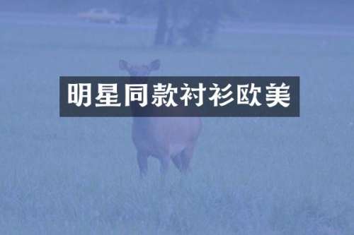 明星同款衬衫欧美
