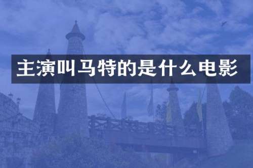 主演叫马特的是什么电影
