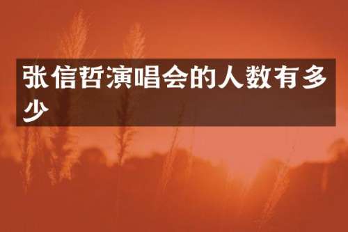 张信哲演唱会的人数有多少