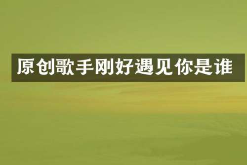 原创歌手刚好遇见你是谁