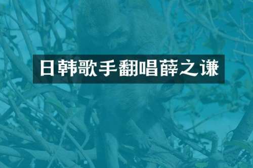 日韩歌手翻唱薛之谦