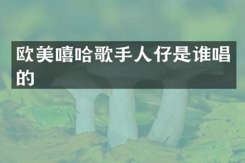 欧美嘻哈歌手人仔是谁唱的