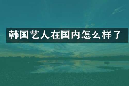 韩国艺人在国内怎么样了
