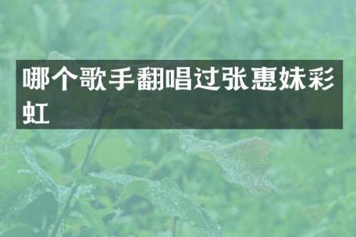 哪个歌手翻唱过张惠妹彩虹