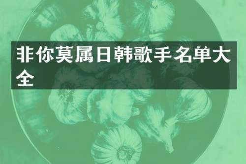 非你莫属日韩歌手名单大全