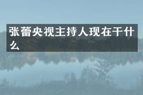 张蕾央视主持人现在干什么