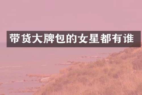 带货大牌包的女星都有谁