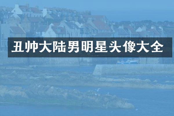 丑帅大陆男明星头像大全