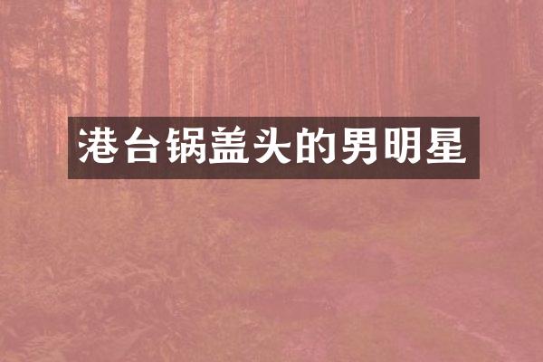 港台锅盖头的男明星