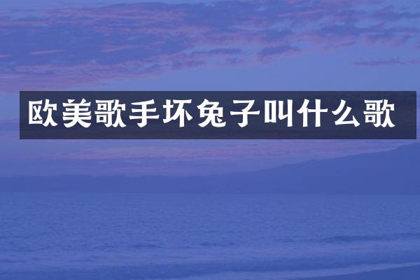 欧美歌手坏兔子叫什么歌