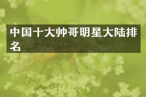 中国十大帅哥明星大陆排名