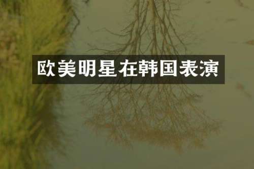 欧美明星在韩国表演