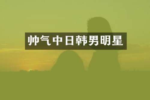 帅气中日韩男明星