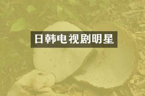 日韩电视剧明星