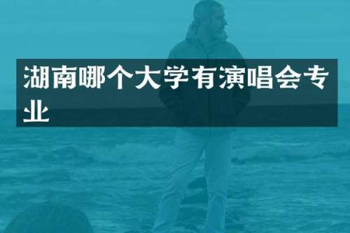 湖南哪个大学有演唱会专业