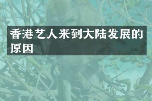 香港艺人来到大陆发展的原因