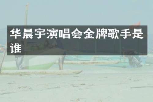 华晨宇演唱会金牌歌手是谁