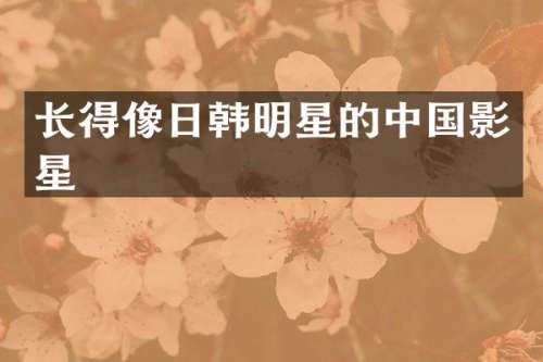长得像日韩明星的中国影星