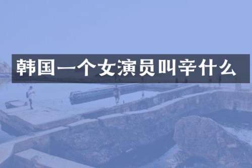韩国一个女演员叫辛什么