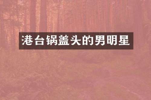 港台锅盖头的男明星