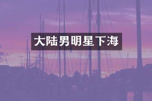 大陆男明星下海