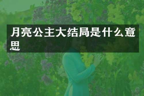 月亮公主大结局是什么意思