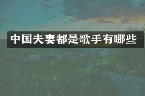 中国夫妻都是歌手有哪些