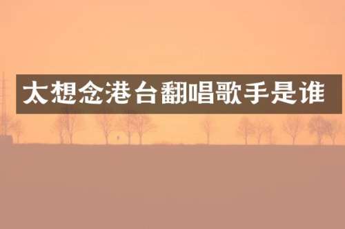 太想念港台翻唱歌手是谁