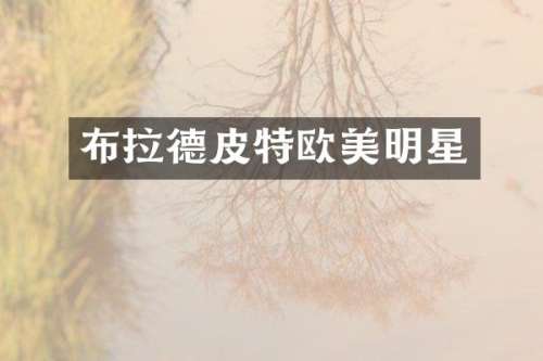 布拉德皮特欧美明星
