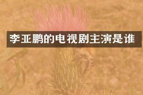 李亚鹏的电视剧主演是谁