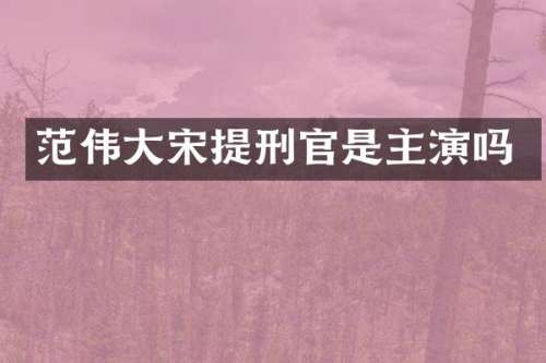 范伟大宋提刑官是主演吗