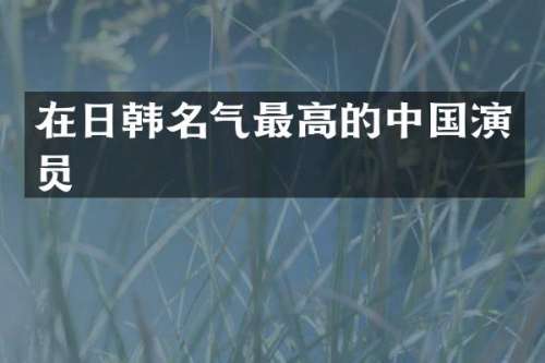 在日韩名气最高的中国演员
