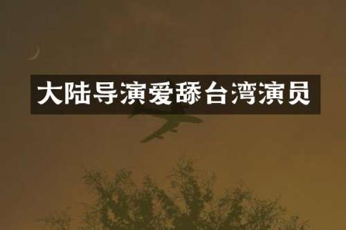 大陆导演爱舔台湾演员