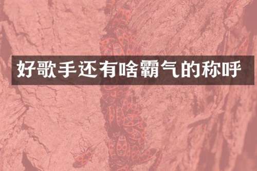 好歌手还有啥霸气的称呼