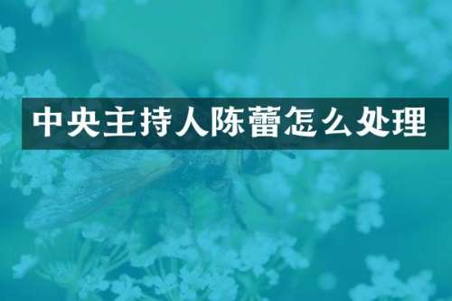 中央主持人陈蕾怎么处理