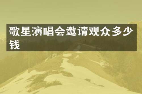 歌星演唱会邀请观众多少钱