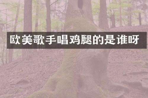 欧美歌手唱鸡腿的是谁呀