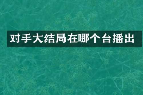 对手大结局在哪个台播出