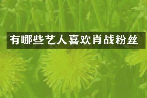 有哪些艺人喜欢肖战粉丝