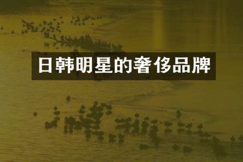 日韩明星的奢侈品牌