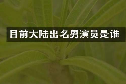 目前大陆出名男演员是谁
