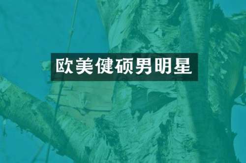 欧美健硕男明星