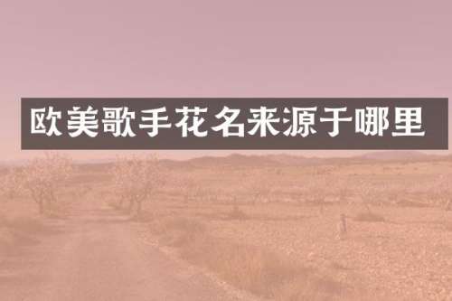 欧美歌手花名来源于哪里