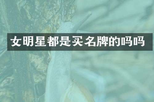女明星都是买名牌的吗吗