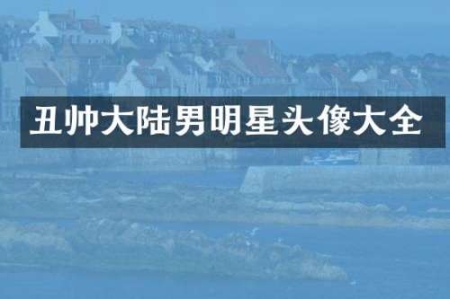 丑帅大陆男明星头像大全
