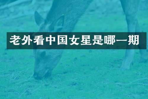 老外看中国女星是哪一期