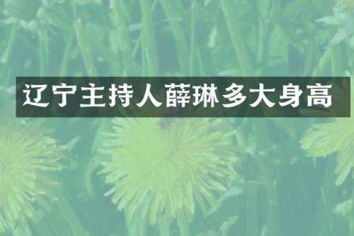 辽宁主持人薛琳多大身高