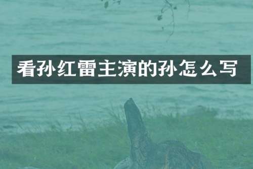 看孙红雷主演的孙怎么写